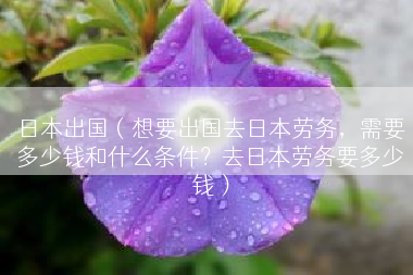 日本出国（想要出国去日本劳务，需要多少钱和什么条件？去日本劳务要多少钱）