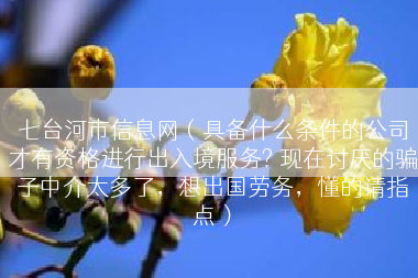 七台河市信息网（具备什么条件的公司才有资格进行出入境服务? 现在讨厌的骗子中介太多了，想出国劳务，懂的请指点）