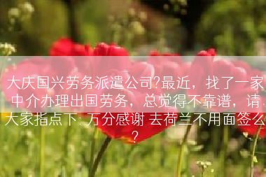 大庆国兴劳务派遣公司?最近，找了一家中介办理出国劳务，总觉得不靠谱，请大家指点下: 万分感谢 去荷兰不用面签么?