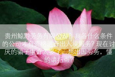 贵州鲸黔劳务有限公司？具备什么条件的公司才有资格进行出入境服务? 现在讨厌的骗子中介太多了，想出国劳务，懂的请指点？