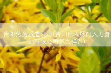 贵阳劳务派遣公司(贵阳市大熙门人力资源有限公司怎么样？)