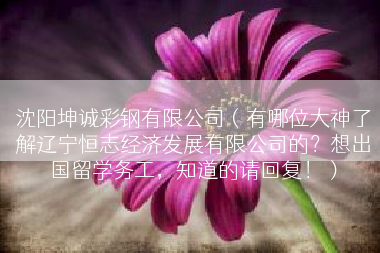 沈阳坤诚彩钢有限公司（有哪位大神了解辽宁恒志经济发展有限公司的？想出国留学务工，知道的请回复！）