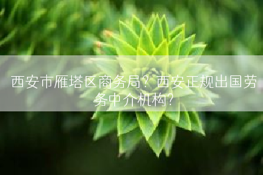 西安市雁塔区商务局？西安正规出国劳务中介机构？