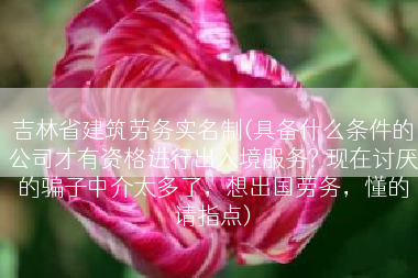 吉林省建筑劳务实名制(具备什么条件的公司才有资格进行出入境服务? 现在讨厌的骗子中介太多了，想出国劳务，懂的请指点)