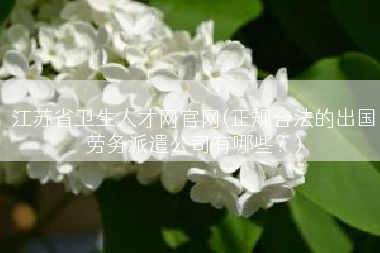 江苏省卫生人才网官网(正规合法的出国劳务派遣公司有哪些？)