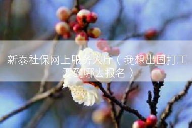 新泰社保网上服务大厅（我想出国打工要到哪去报名）