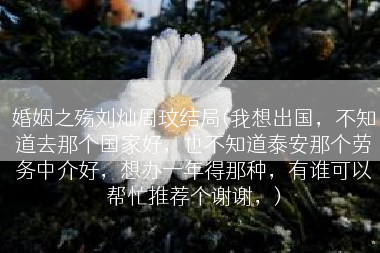 婚姻之殇刘灿周玟结局(我想出国，不知道去那个国家好，也不知道泰安那个劳务中介好，想办一年得那种，有谁可以帮忙推荐个谢谢，)