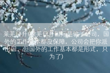 莱芜日升(莱芜日升国际是骗子公司，国外的工作基本都没保障，公司会把你派出国，但国外的工作基本都是形式，只为了)