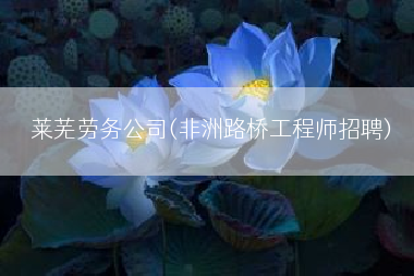 莱芜劳务公司(非洲路桥工程师招聘)