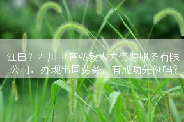 江田？四川中智弘毅人力资源服务有限公司，办现出国劳务，有成功先例吗？