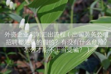外资企业利润汇出流程（出国劳务公司招聘都是真的假的？有没有什么危险？怎么才能不上当受骗？）