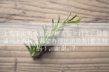 上海宝山劳务派遣?想去国外打工，但是请问上海松江哪里办理出国劳务(要正规的），谢谢。?