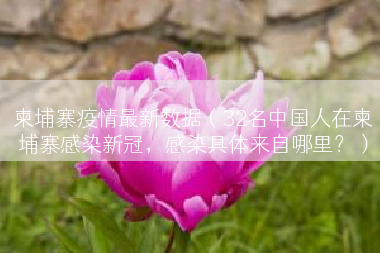 柬埔寨疫情最新数据（32名中国人在柬埔寨感染新冠，感染具体来自哪里？）