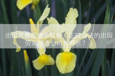 出国劳务派遣函模板（正规合法的出国劳务派遣公司有哪些？）