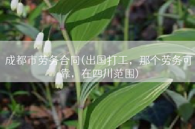 成都市劳务合同(出国打工，那个劳务可靠，在四川范围)