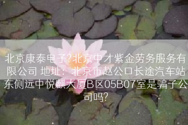 北京康泰电子?北京中才紫金劳务服务有限公司 地址：北京市赵公口长途汽车站东侧远中悦麒大厦B区05B07室是骗子公司吗?