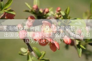 东海随身行 官网（我是建筑钢筋工，想出国没门路，请问要怎么做，听说有出国劳务这可靠吗？）