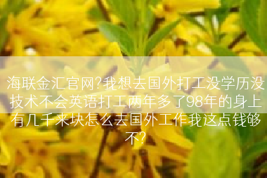 海联金汇官网?我想去国外打工没学历没技术不会英语打工两年多了98年的身上有几千来块怎么去国外工作我这点钱够不?