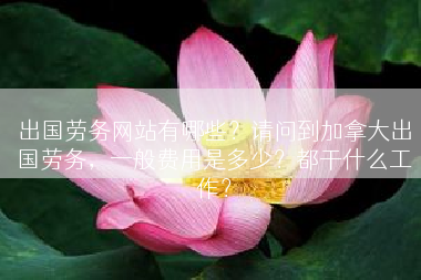 出国劳务网站有哪些？请问到加拿大出国劳务，一般费用是多少？都干什么工作？