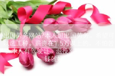 出国劳务网站?本人想出国劳务。希望可以选工种。薪资在1.5万以上的，不怕苦。本人有驾驶证。退役军人。只要能赚钱就好。?