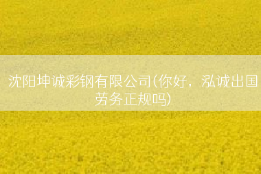 沈阳坤诚彩钢有限公司(你好，泓诚出国劳务正规吗)