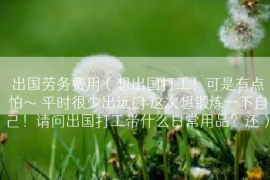 出国劳务费用（想出国打工！可是有点怕～ 平时很少出远门 这次想锻炼一下自己！请问出国打工带什么日常用品？还）