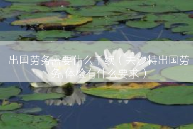 出国劳务需要什么手续（去沙特出国劳务,体检有什么要求）