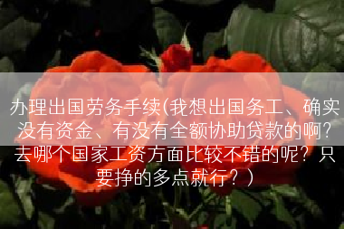 办理出国劳务手续(我想出国务工、确实没有资金、有没有全额协助贷款的啊？去哪个国家工资方面比较不错的呢？只要挣的多点就行？)