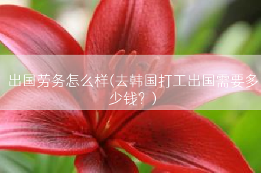 出国劳务怎么样(去韩国打工出国需要多少钱？)