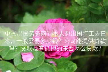 中国出国劳务网？本人想出国打工去日本，一般需要多少钱？公司能提供贷款吗？贷款没有抵押的东西怎么贷款？