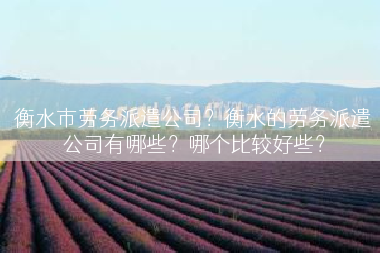 衡水市劳务派遣公司？衡水的劳务派遣公司有哪些？哪个比较好些？