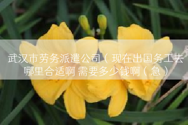 武汉市劳务派遣公司（现在出国务工去哪里合适啊 需要多少钱啊（急）