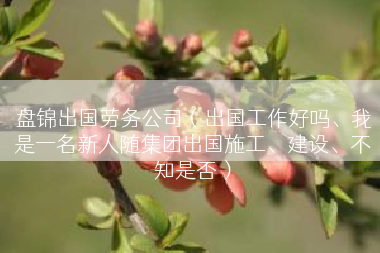 盘锦出国劳务公司（出国工作好吗、我是一名新人随集团出国施工、建设、不知是否）
