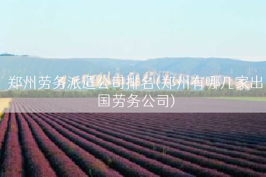 郑州劳务派遣公司排名(郑州有哪几家出国劳务公司)