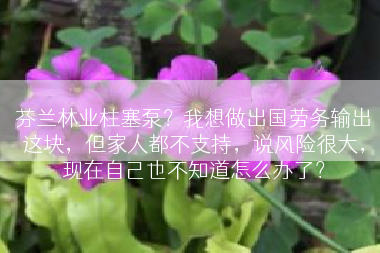 芬兰林业柱塞泵？我想做出国劳务输出这块，但家人都不支持，说风险很大，现在自己也不知道怎么办了？