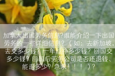 加拿大出国劳务信息?谁能介绍一下出国劳务的一些详细信息？（如：去新加坡，去交多少钱？一年能挣多少钱？回国交多少钱？回国后劳务公司是否还退钱、能退多少？急求！！！）?