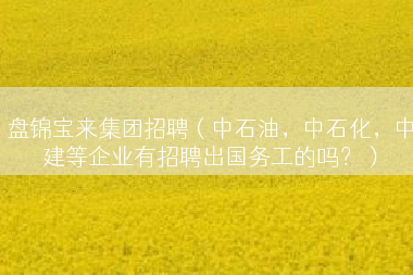 盘锦宝来集团招聘（中石油，中石化，中建等企业有招聘出国务工的吗？）