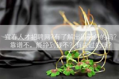 宜春人才招聘网?有了解出国劳务的吗？靠谱不，能挣到钱不？有去过的吗?