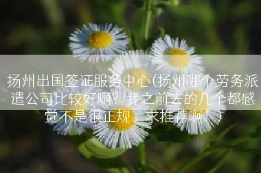 扬州出国签证服务中心(扬州哪个劳务派遣公司比较好啊？我之前去的几个都感觉不是很正规。求推荐啊！)