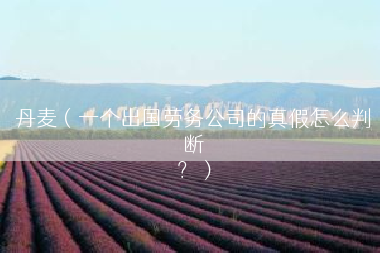 丹麦（一个出国劳务公司的真假怎么判断
？）