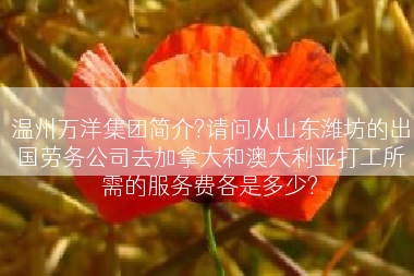 温州万洋集团简介?请问从山东潍坊的出国劳务公司去加拿大和澳大利亚打工所需的服务费各是多少?