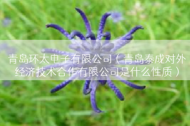 青岛环太电子有限公司（青岛泰成对外经济技术合作有限公司是什么性质）
