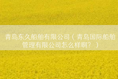 青岛东久船舶有限公司（青岛国际船舶管理有限公司怎么样啊？）