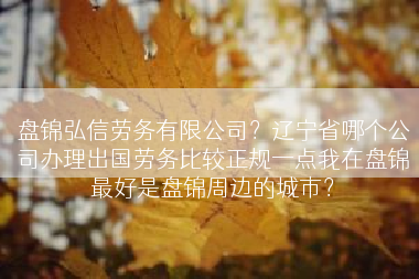 盘锦弘信劳务有限公司？辽宁省哪个公司办理出国劳务比较正规一点我在盘锦最好是盘锦周边的城市？