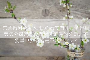 东营振河劳务人才网?泰安有正规的出国劳务公司吗？要有相关证件的公司，不要黑中介或者是不法中介。?
