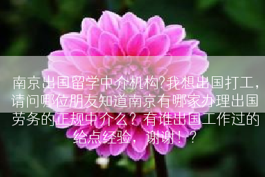 南京出国留学中介机构?我想出国打工，请问哪位朋友知道南京有哪家办理出国劳务的正规中介么？有谁出国工作过的给点经验，谢谢！?