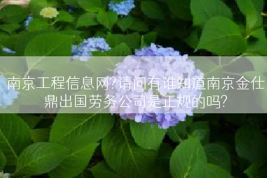 南京工程信息网?请问有谁知道南京金仕鼎出国劳务公司是正规的吗?