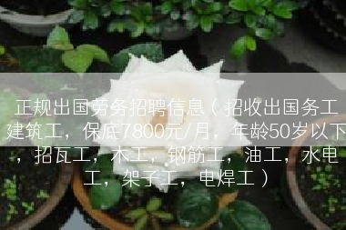 正规出国劳务招聘信息（招收出国务工建筑工，保底7800元/月，年龄50岁以下，招瓦工，木工，钢筋工，油工，水电工，架子工，电焊工）