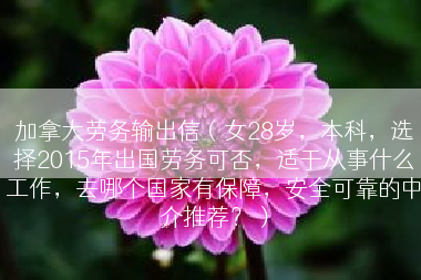 加拿大劳务输出信（女28岁，本科，选择2015年出国劳务可否，适于从事什么工作，去哪个国家有保障，安全可靠的中介推荐？）