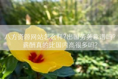 八方资源网站怎么样?出国劳务靠谱吗？薪酬真的比国内高很多吗?
